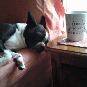 Meet your Posher, Posh